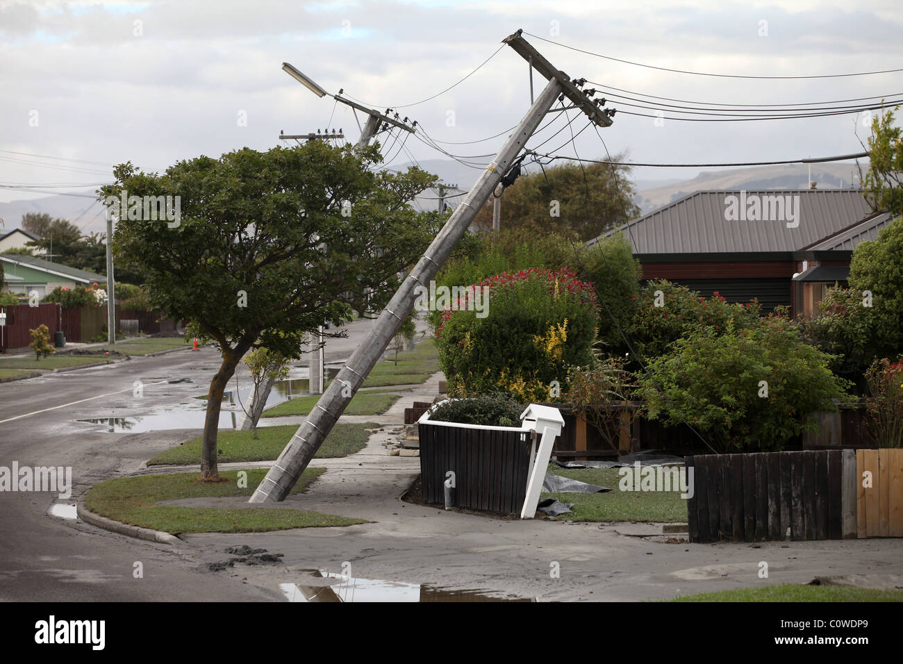 Bent power poles in Bexley, Christchurch, following the 6.3 magnitude earthquake. Stock Photo