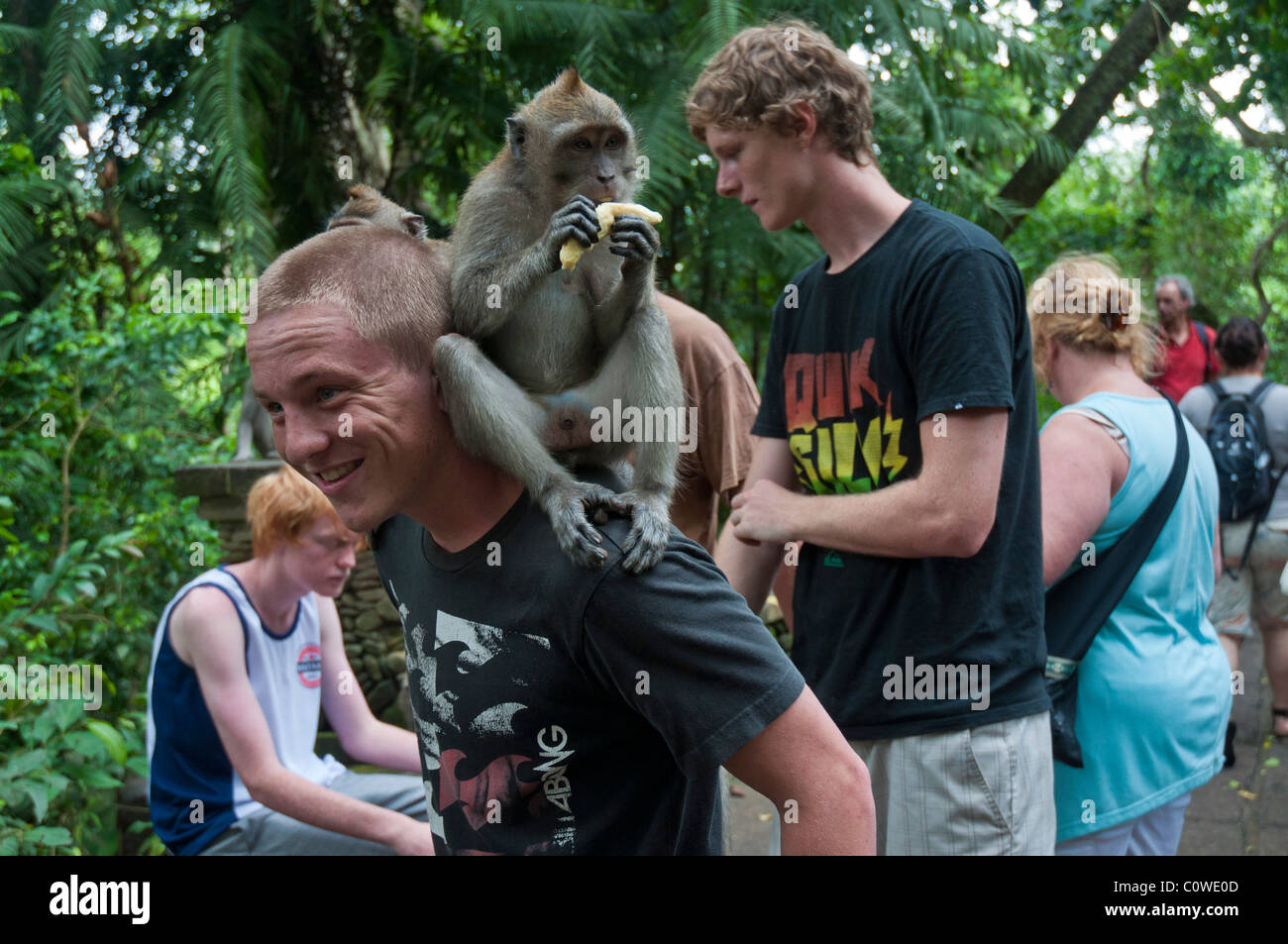 Tourists with long-tailed macacques in the Monkey Forest in Ubud Bali Indonesia Stock Photo