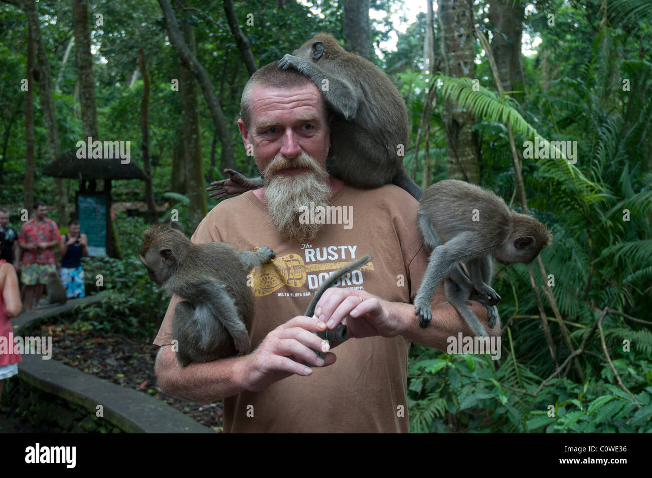 Tourists with long-tailed macacques in the Monkey Forest in Ubud Bali Indonesia Stock Photo