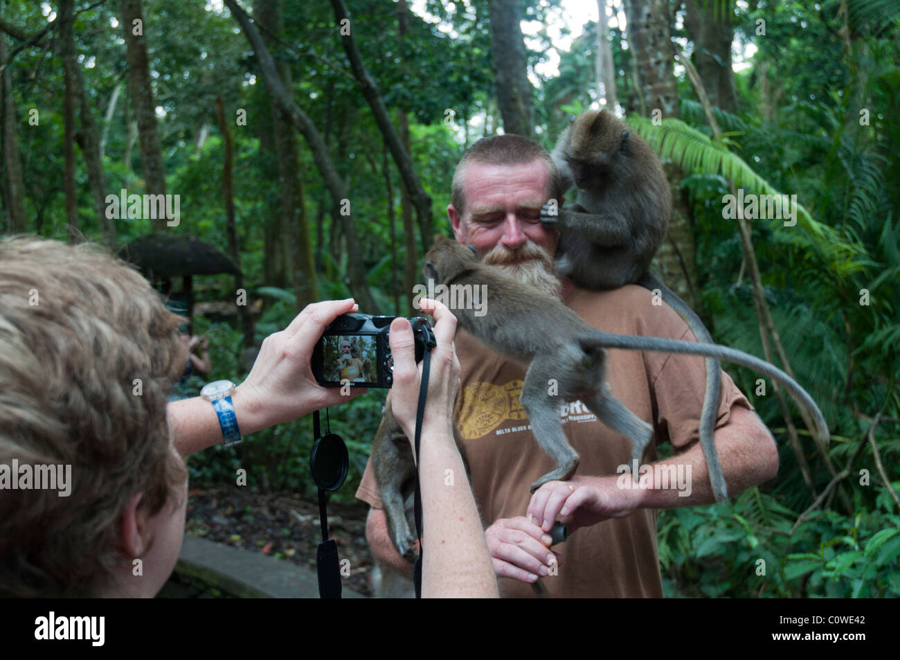 Tourists with long-tailed macacques in the Monkey Forest in Ubud Bali Indonesia Stock Photo