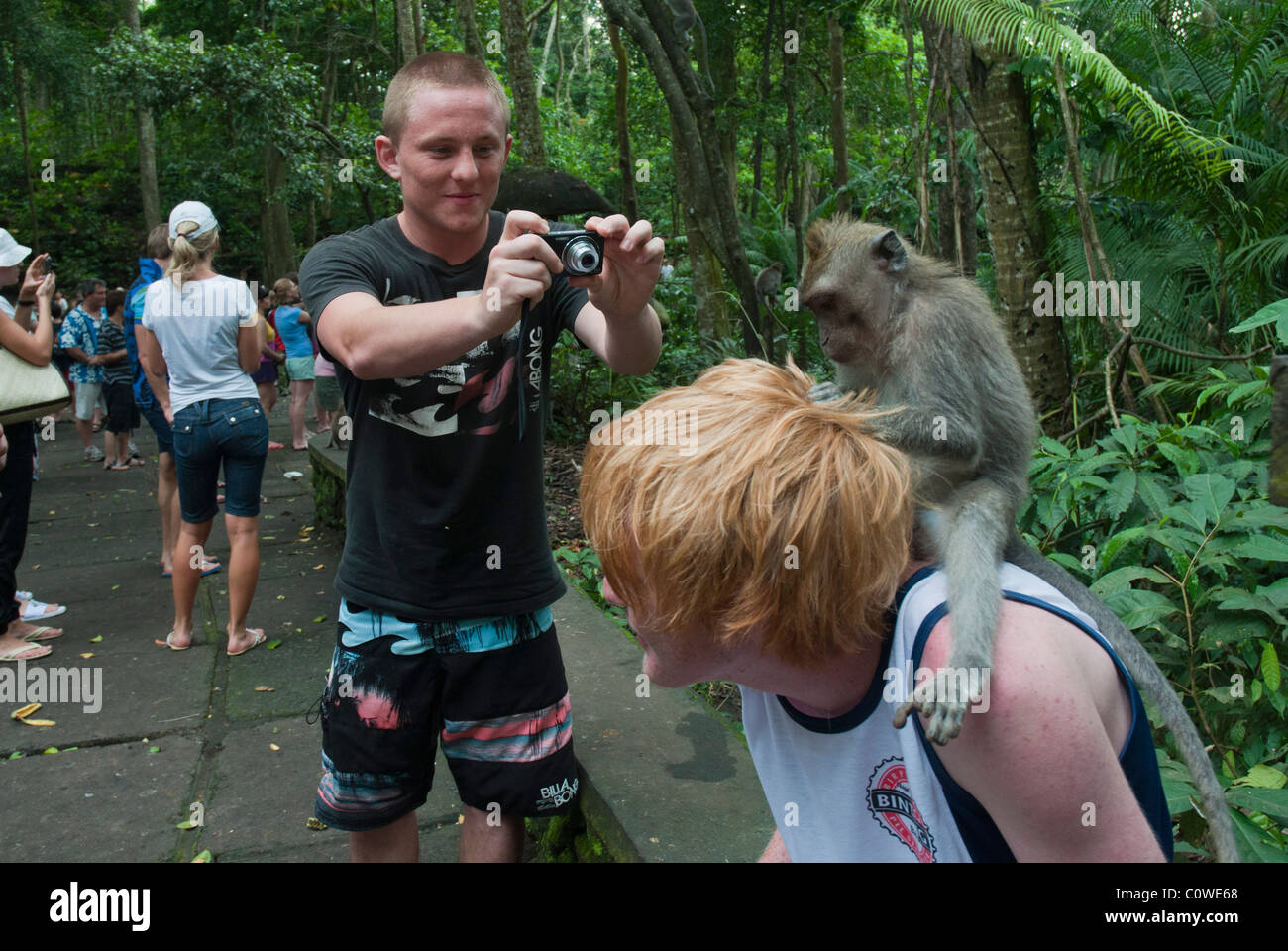 Tourists with long-tailed macacques in the Monkey Forest in Ubud Bali Indonesia Stock Photo