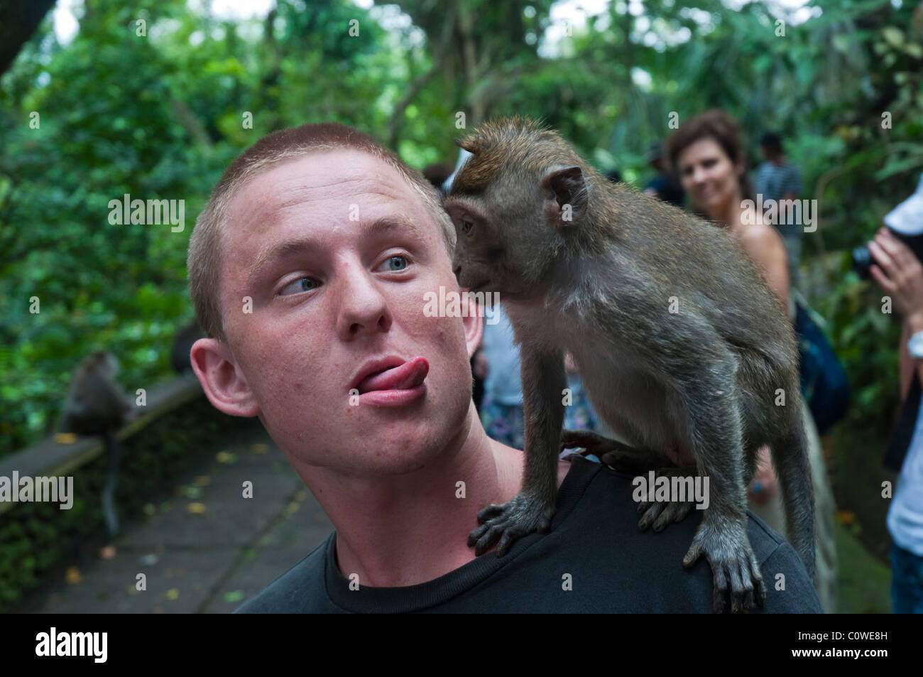 Tourists with long-tailed macacques in the Monkey Forest in Ubud Bali Indonesia Stock Photo