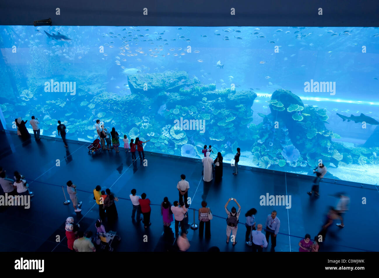 Aquarium in  Dubai Mall, Dubai, United Arab Emirates Stock Photo