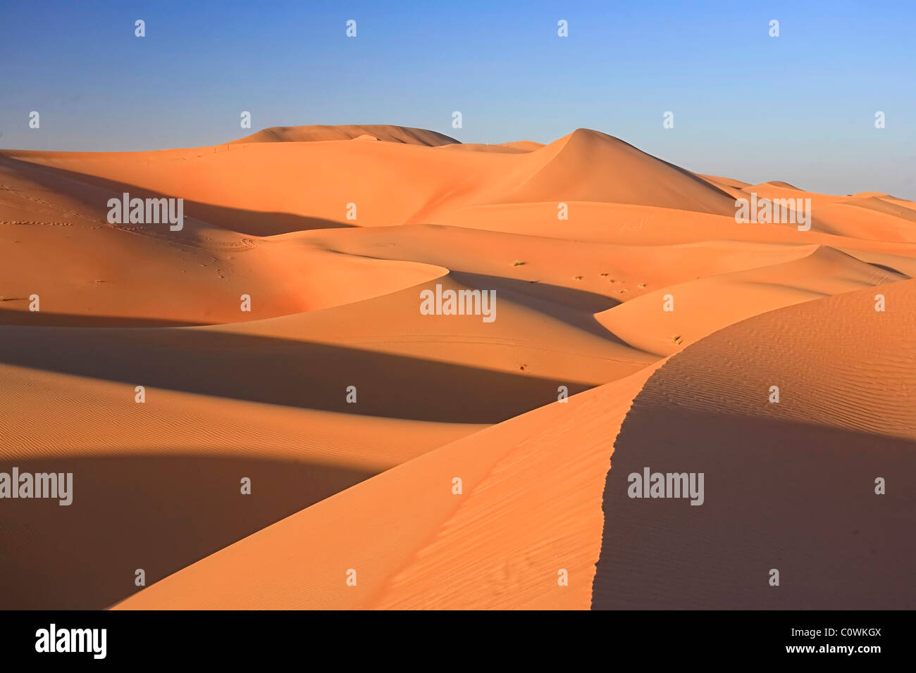 United Arab Emirates, Liwa Oasis, Sand dunes near the Empty Quarter Desert Stock Photo