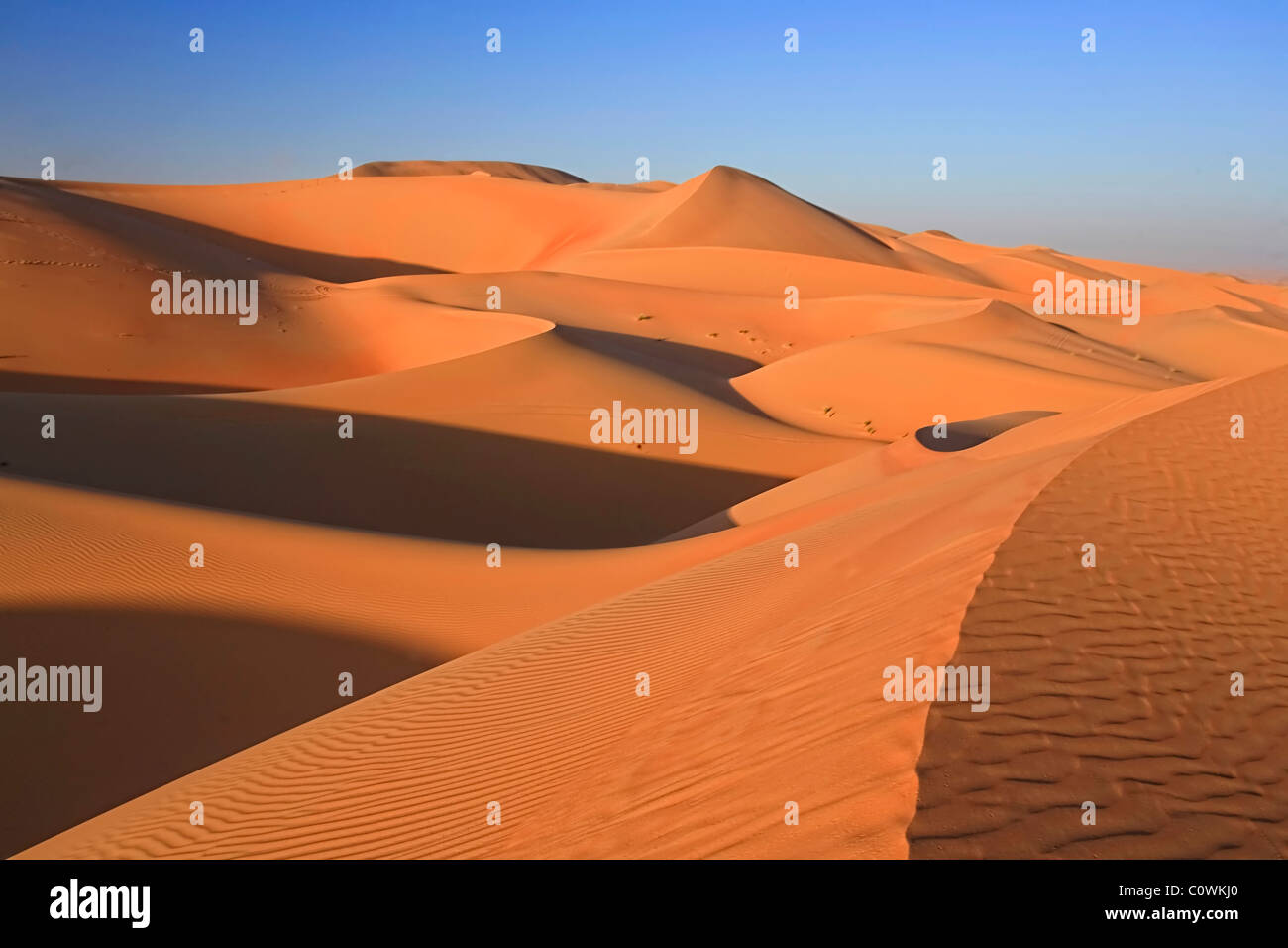 United Arab Emirates, Liwa Oasis, Sand dunes near the Empty Quarter Desert Stock Photo