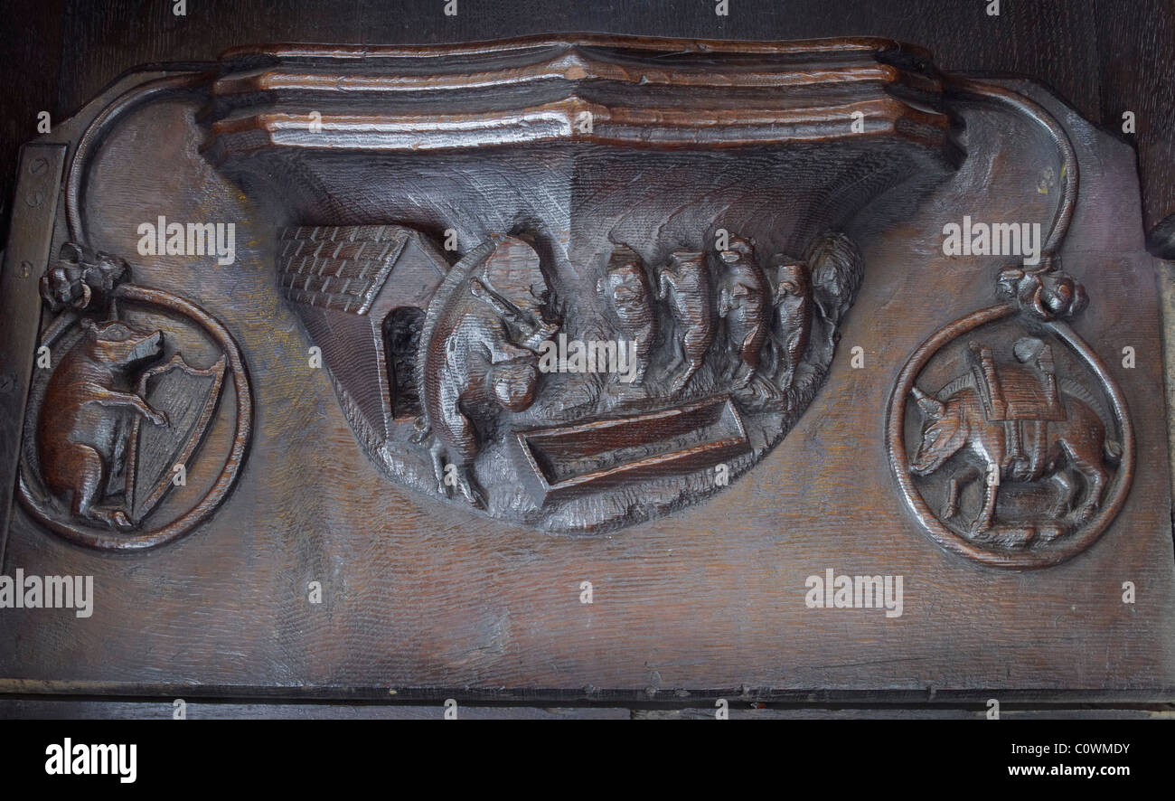 Manchester Cathedral Misericord : Pigs Stock Photo