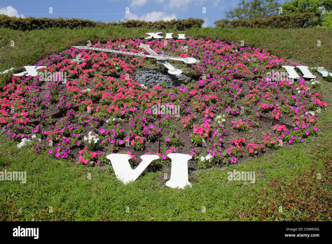 Orlando Florida,Harry P. Leu Gardens,Floral Clock,flower flowers