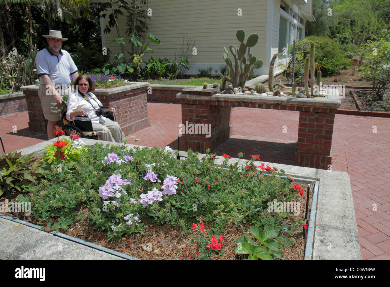 Orlando Florida,Harry P. Leu Gardens,flower flowers,flowerbed,adult adults woman women female lady,wheelchair,disabled disability handicapped special Stock Photo