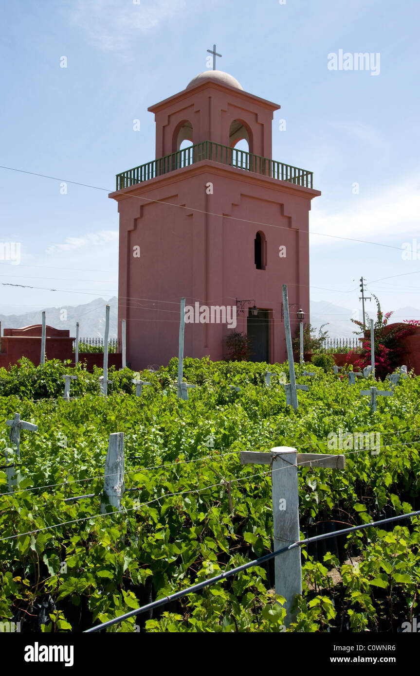 Broken Lizard's Video on X, image size:863x1390