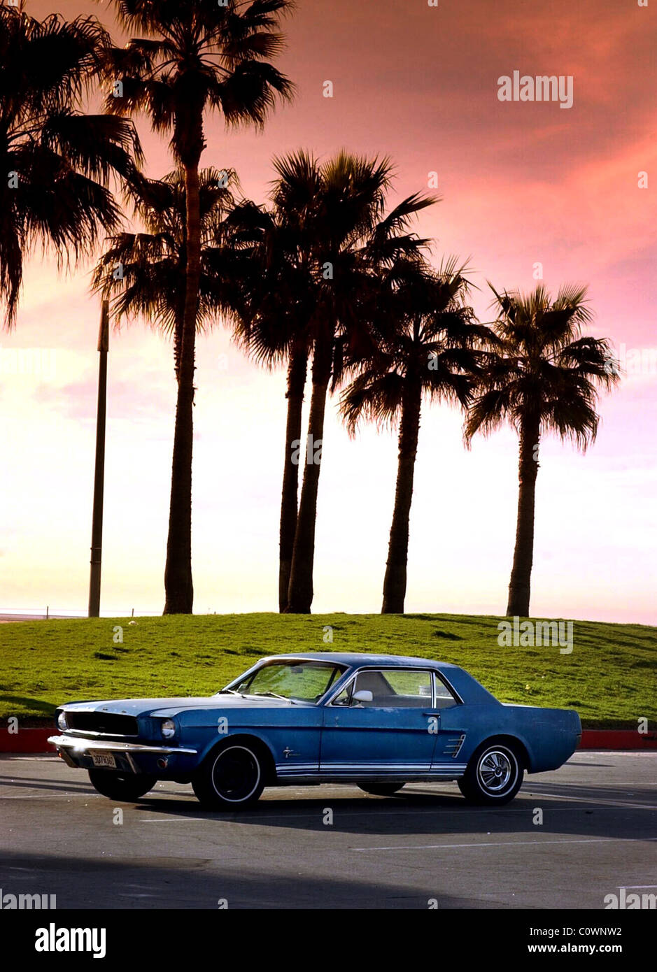 old Ford Mustang at Venice Beach Los Angeles California Stock Photo Alamy