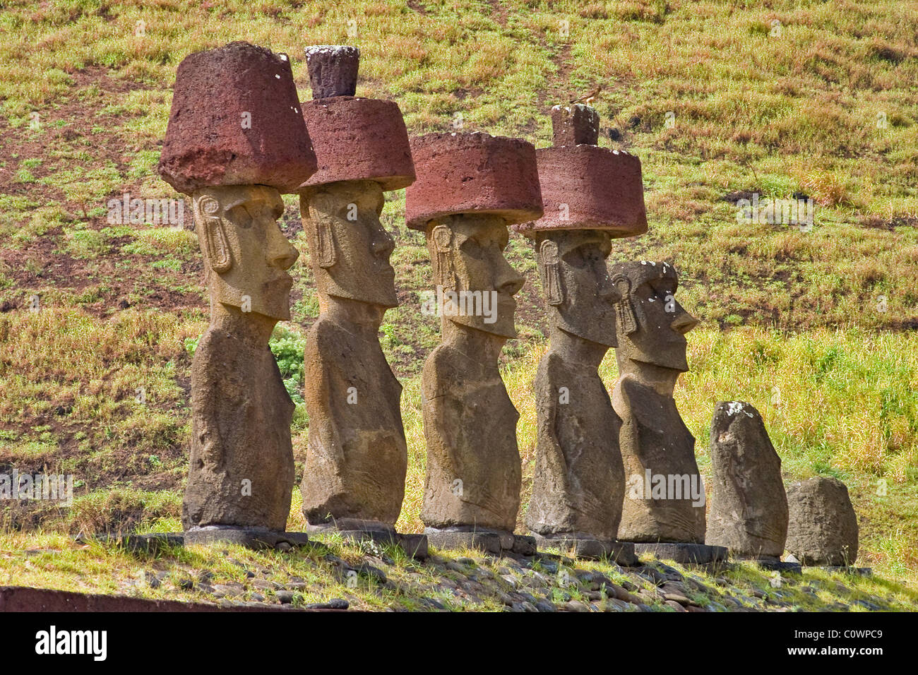 Где находятся идолы. Остров Пасхи статуи Моаи. Каменные идолы острова Пасхи. Каменные статуи Моаи остров Пасхи Чили. Статуи Моаи в Чили.