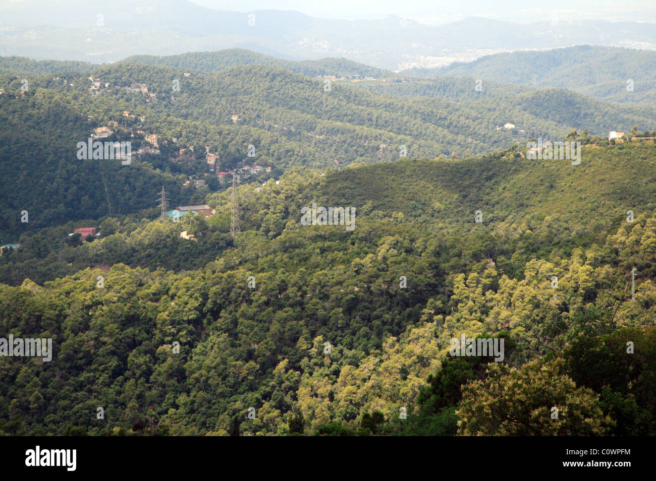 Arial view of woodland on the slopes of the Serra de Collserola Stock Photo