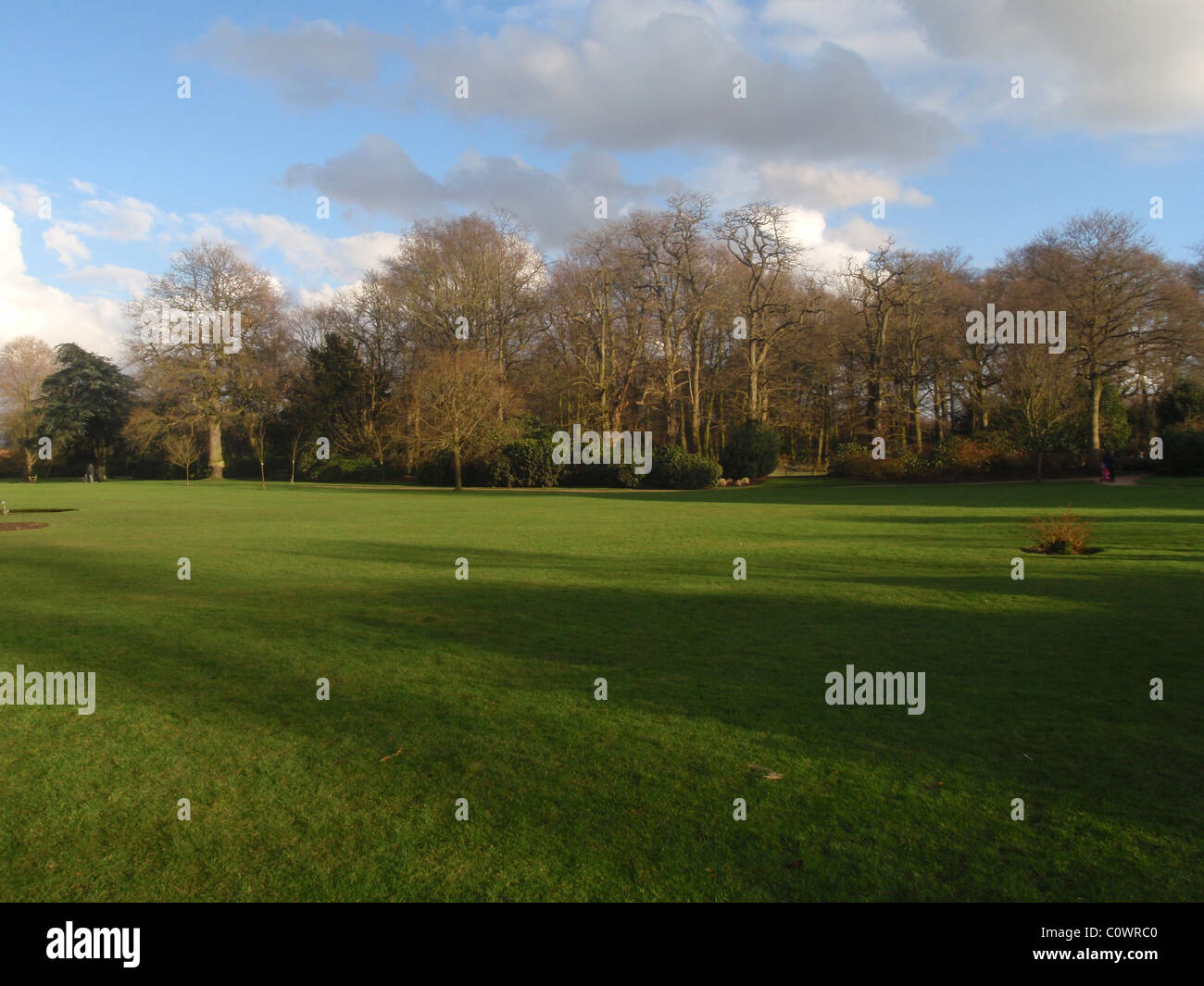 View of the Lawn and Trees at Dunham Massey in Cheshire England Stock