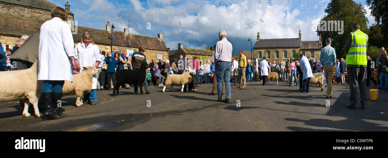 View of the Annual Masham Sheep Fair Stock Photo