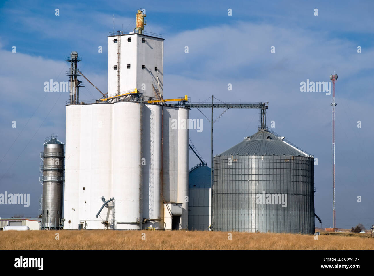 A grain elevator and silo stand out in the morning sunlight in