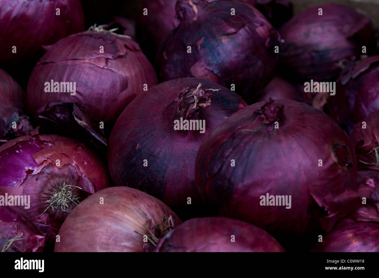 Onions for Sale, Lewes Street Market, Sussex, England Stock Photo Alamy