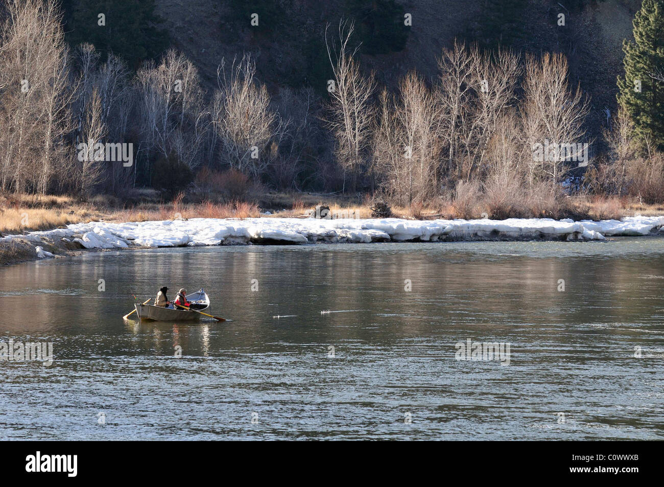 Steelhead trout fish habitat hires stock photography and images Alamy