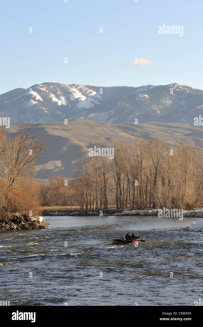 Steelhead trout fish habitat hires stock photography and images Alamy