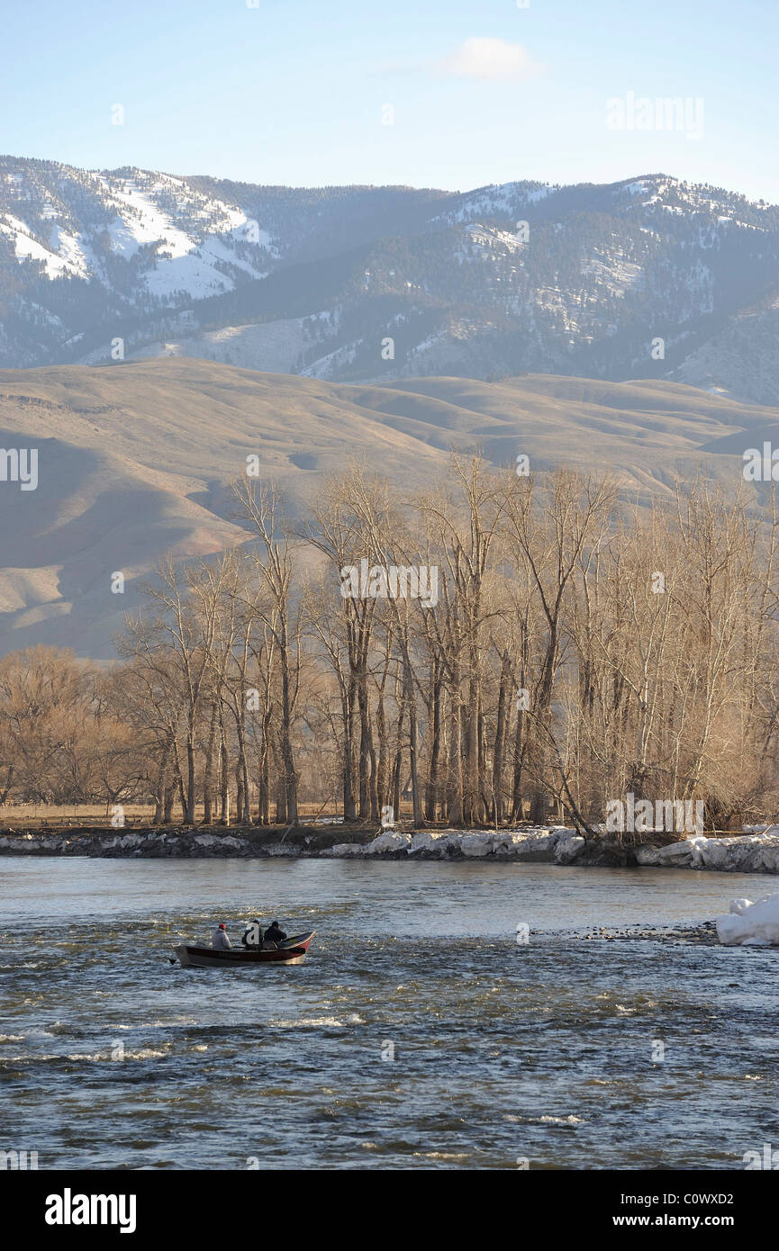 Steelhead trout fish habitat hires stock photography and images Alamy