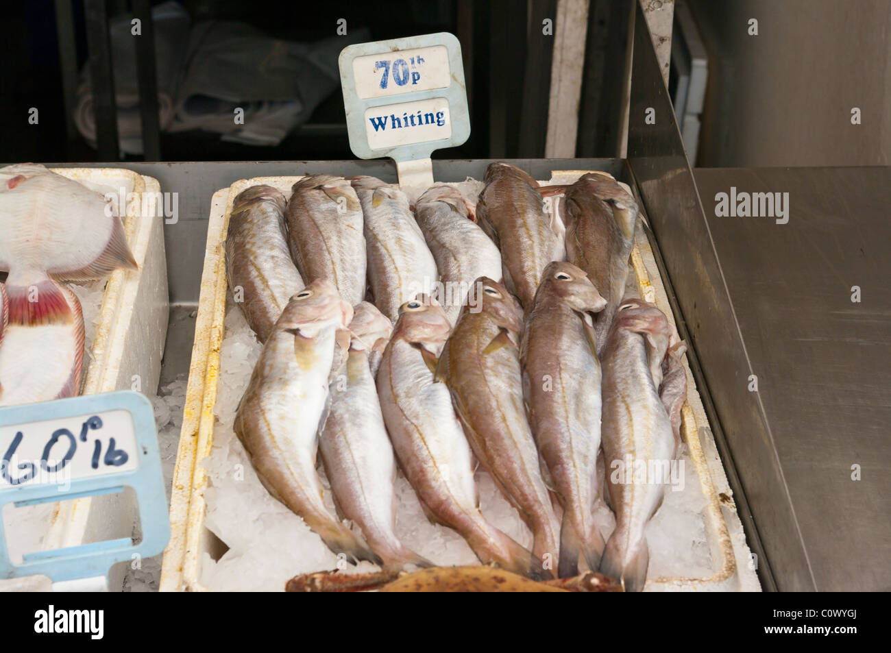 Freshly Caught Whiting On A Fish Stall Stock Photo