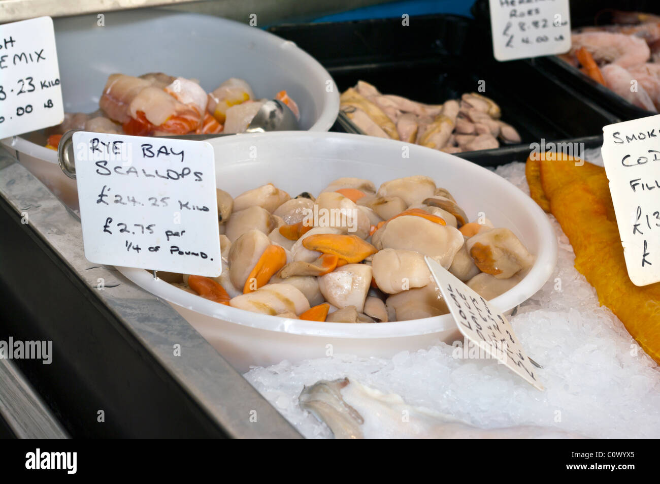 Fresh Rye Bay Scallops On A Fish Counter Stock Photo Alamy