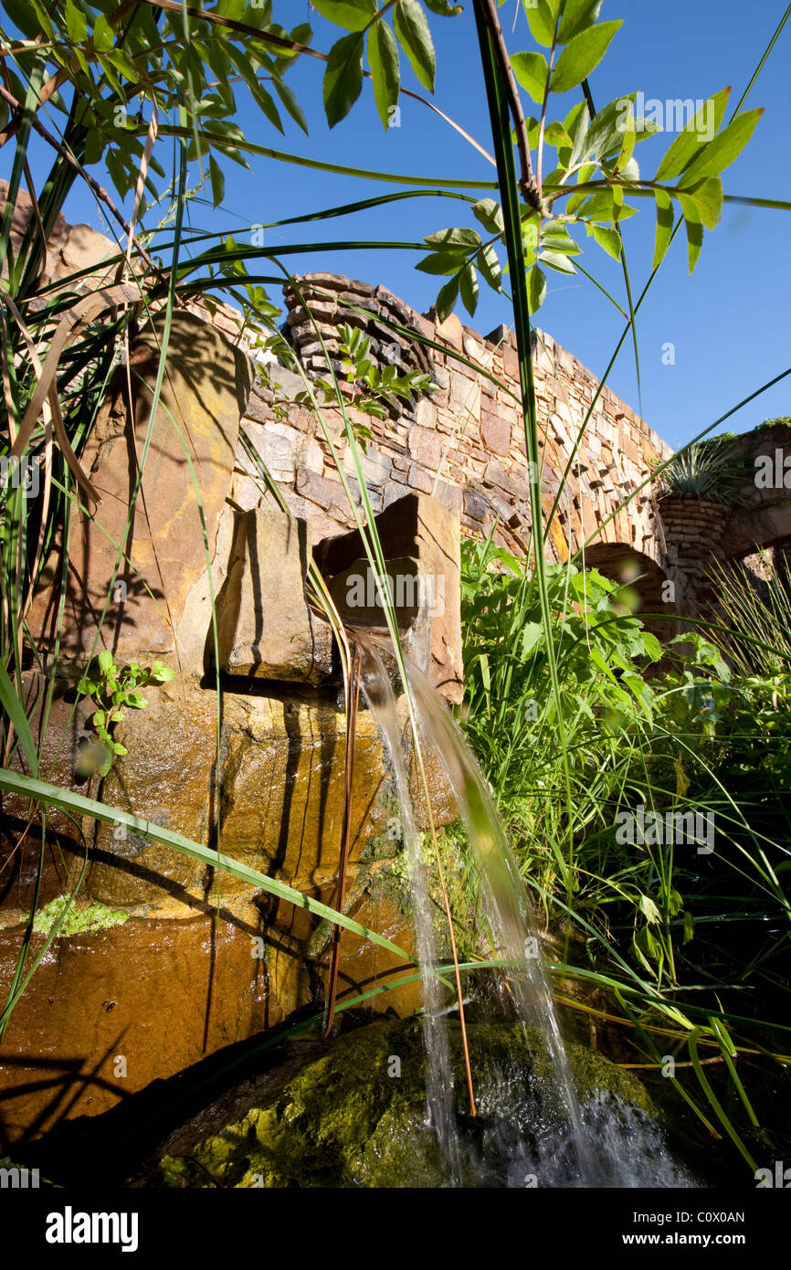 Wetland pond full of native Texas aquatics plants at the entrance to the Lady Bird Johnson
