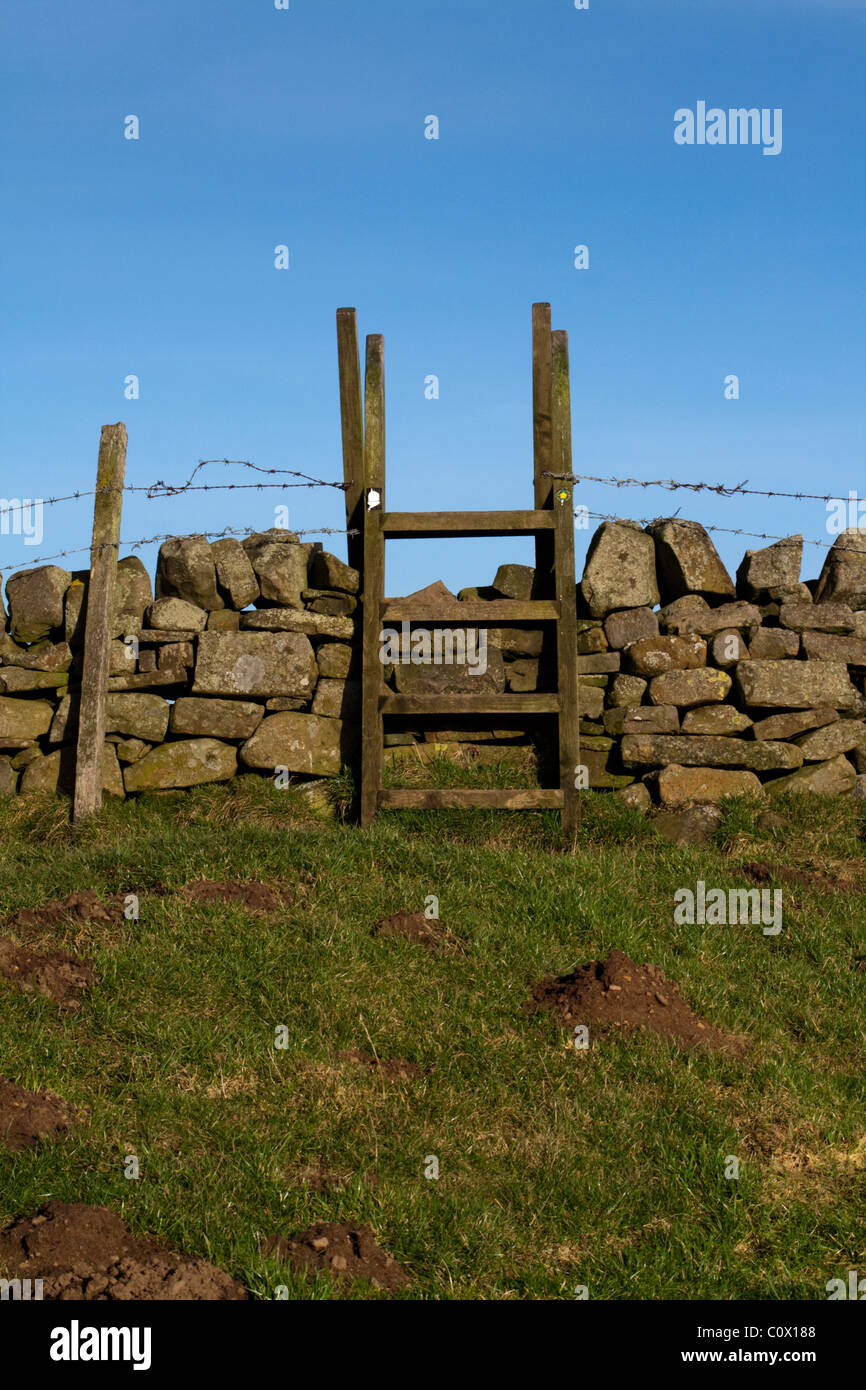 Stile on the Hadrian's Wall Path near Greenhead, Northumberland Stock