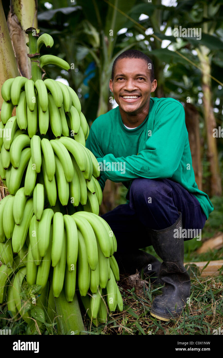 Fairtrade Banana farmer from Colombia Stock Photo - Alamy