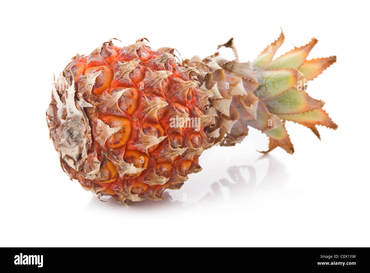 Ripe pineapple fruit with green leaves isolated Stock Photo Alamy