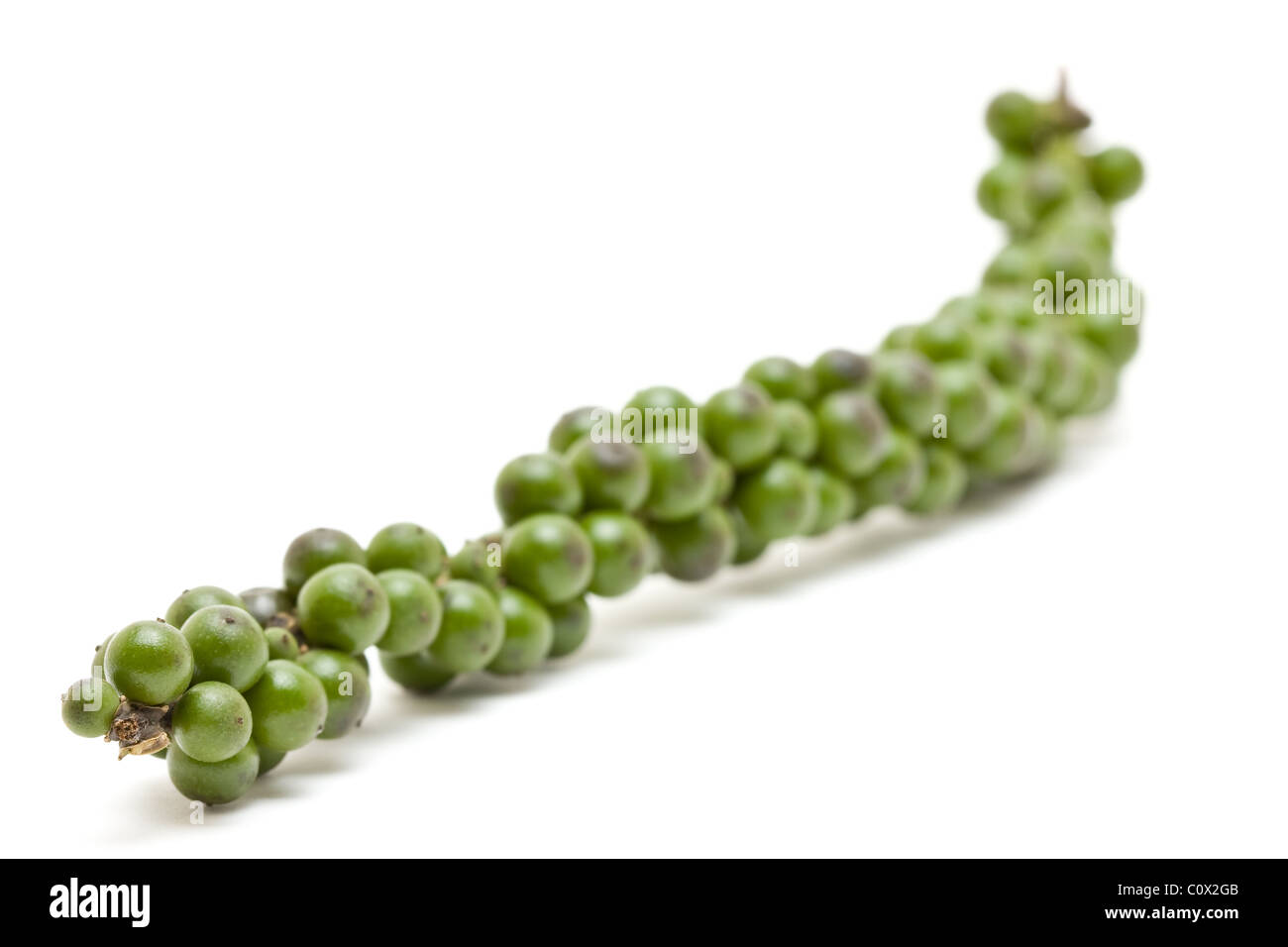 Unprocessed fresh green peppercorns over white background Stock Photo