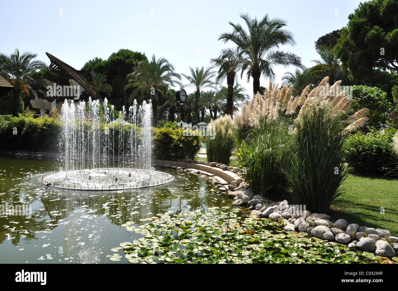 Lily lane hires stock photography and images Alamy