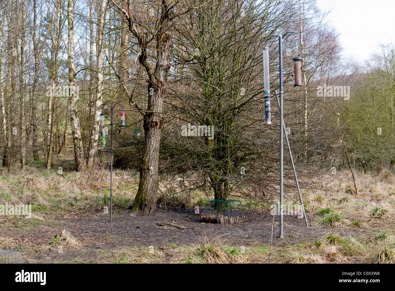 Bird Feeding Station Stock Photos Bird Feeding Station Stock