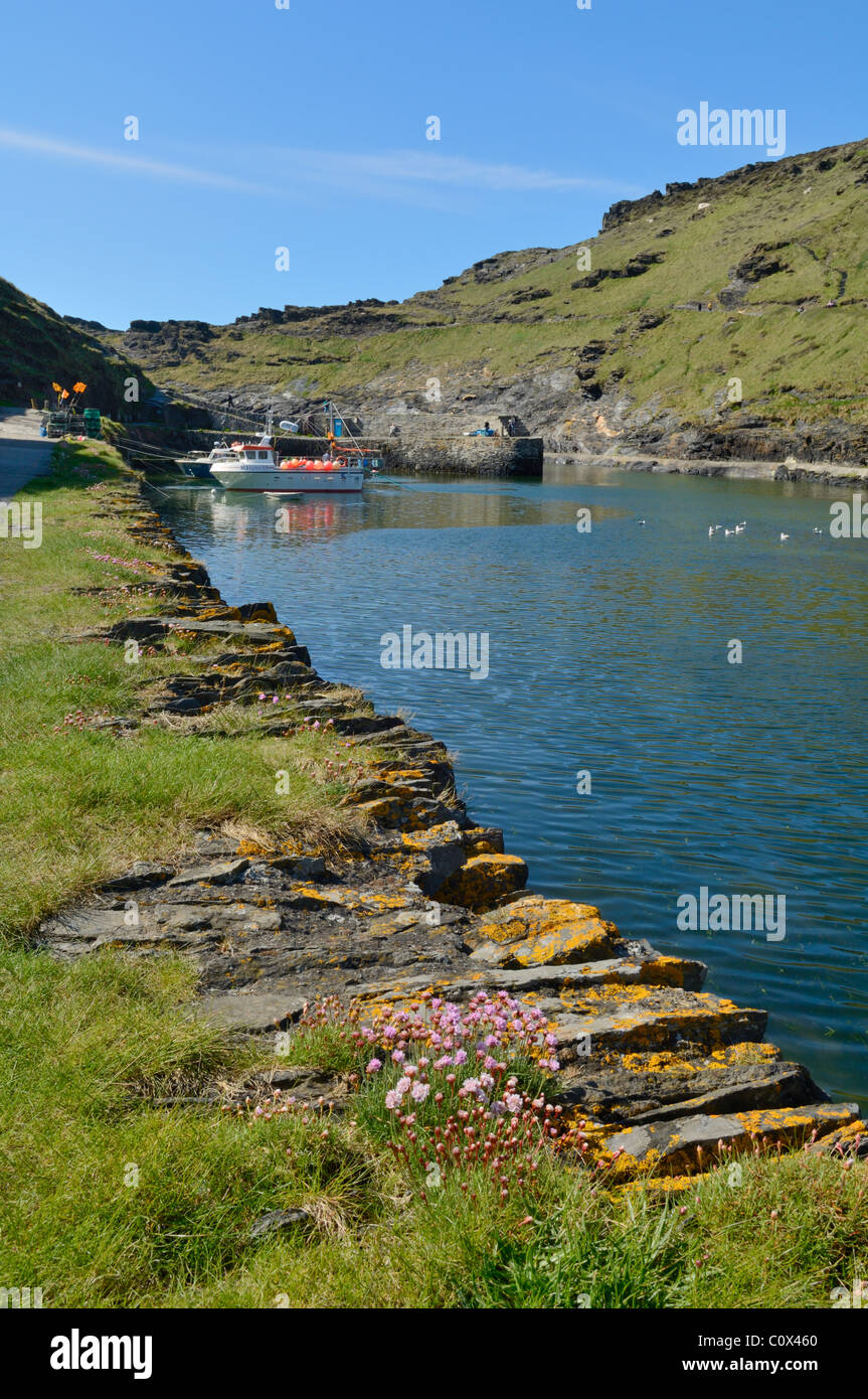 Boscastle Harbour on the North Cornwall coast, England. Stock Photo