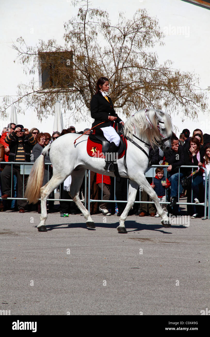 Rider performing minorcan dressage Stock Photo