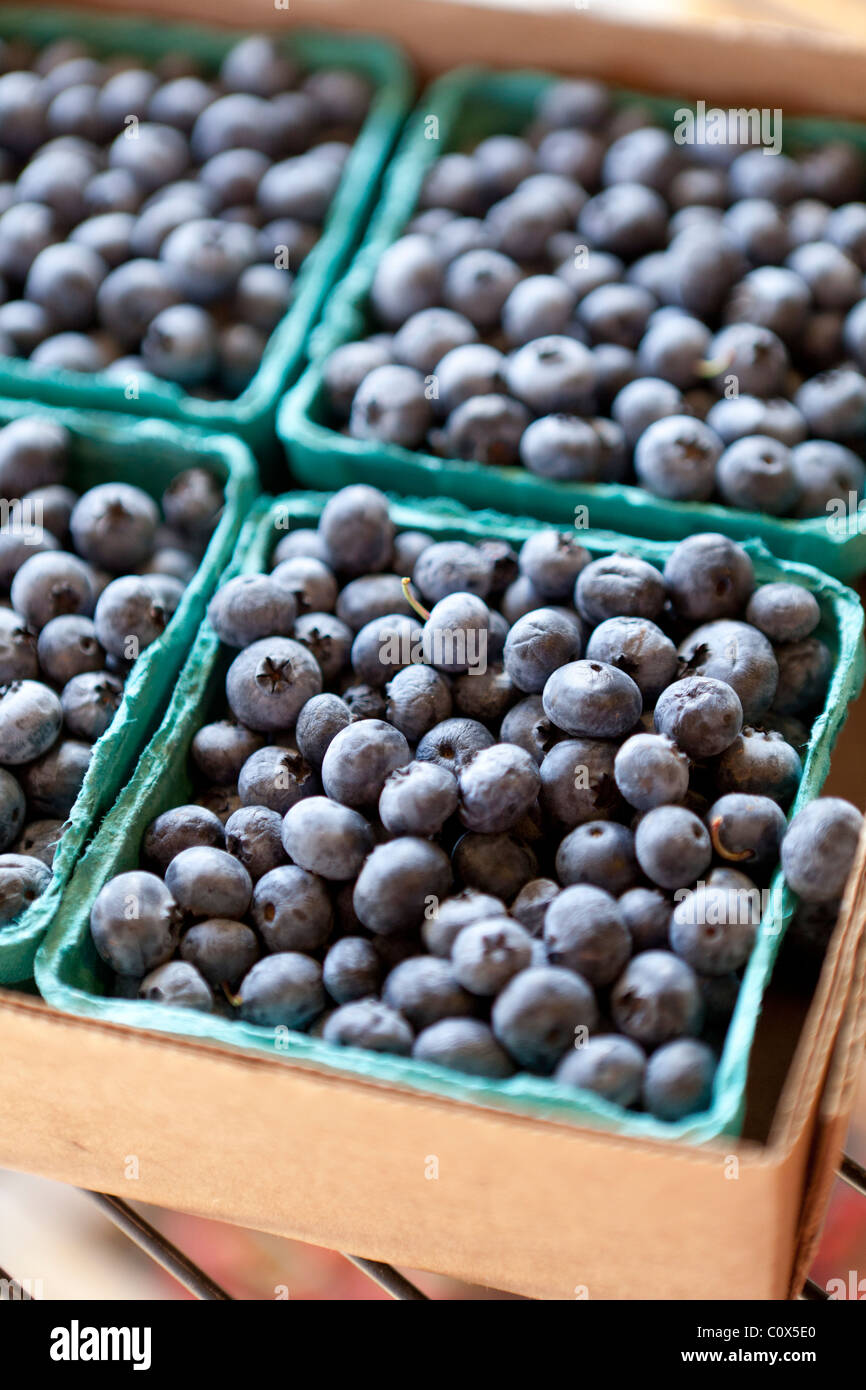 Baskets of organic blueberries packaged for sale. Applegate Valley, Oregon. Stock Photo