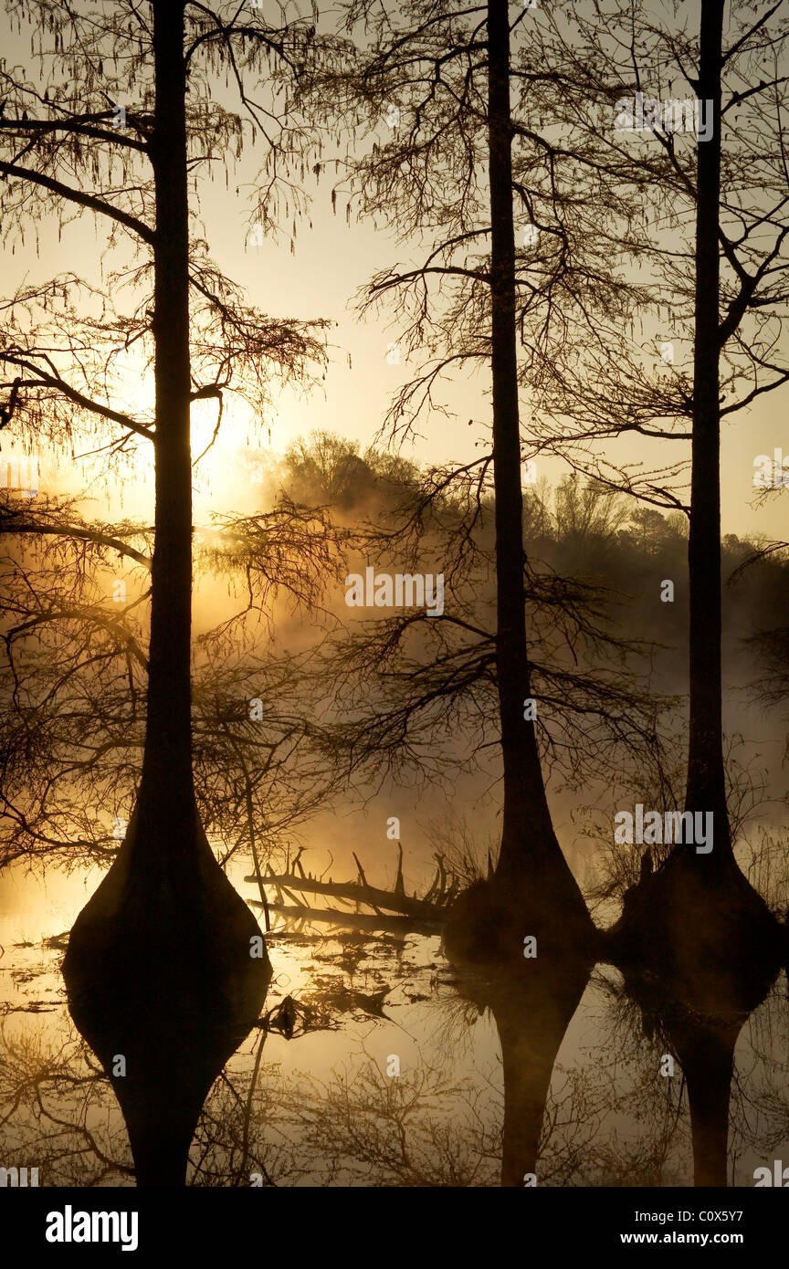 Wall doxey state park hires stock photography and images Alamy