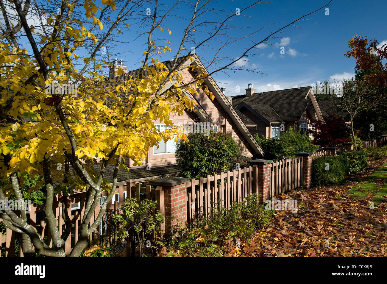 Residential home with fence and yellow tree Stock Photo