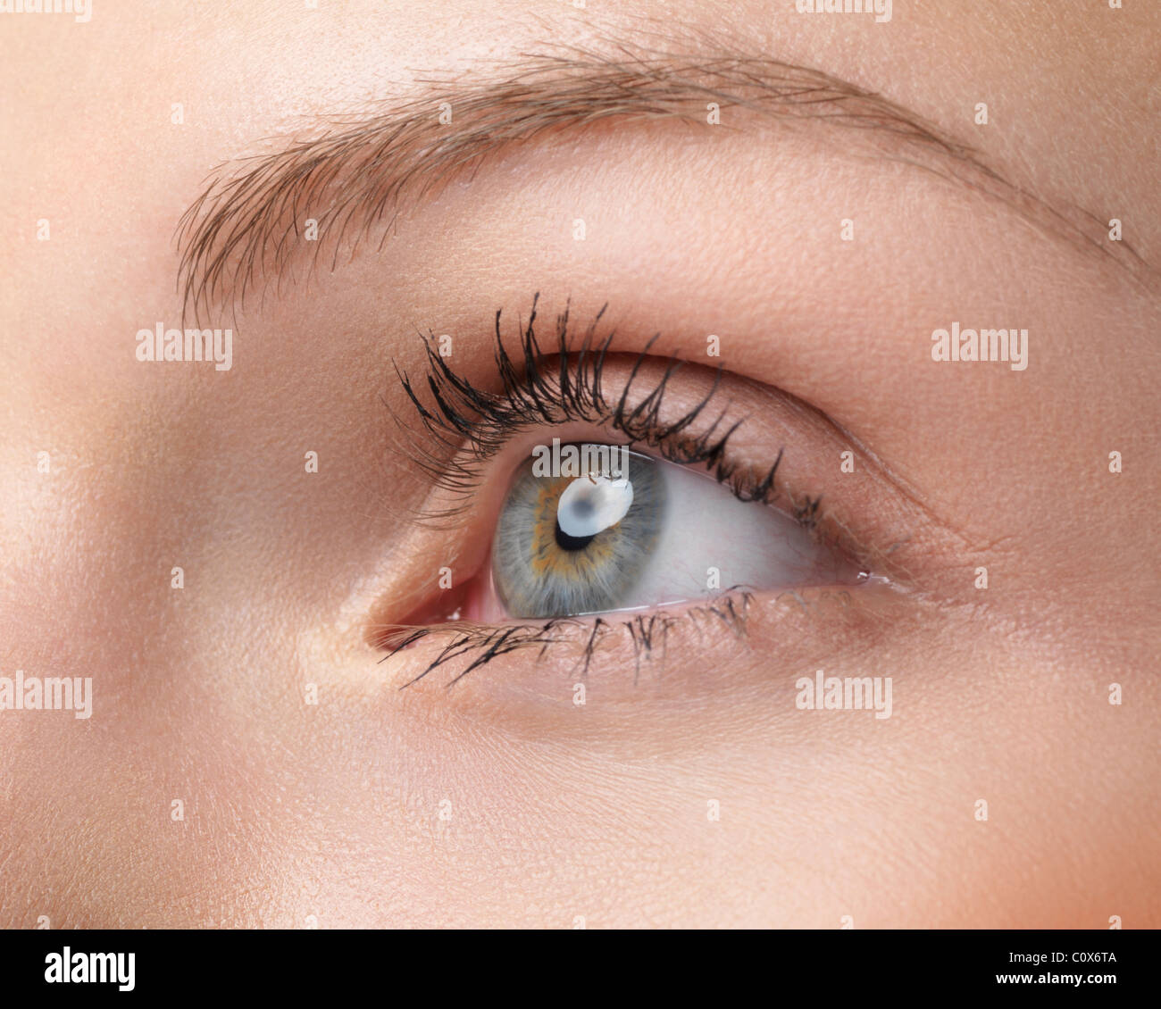 Close up of a young womans eyes hi-res stock photography and images - Alamy