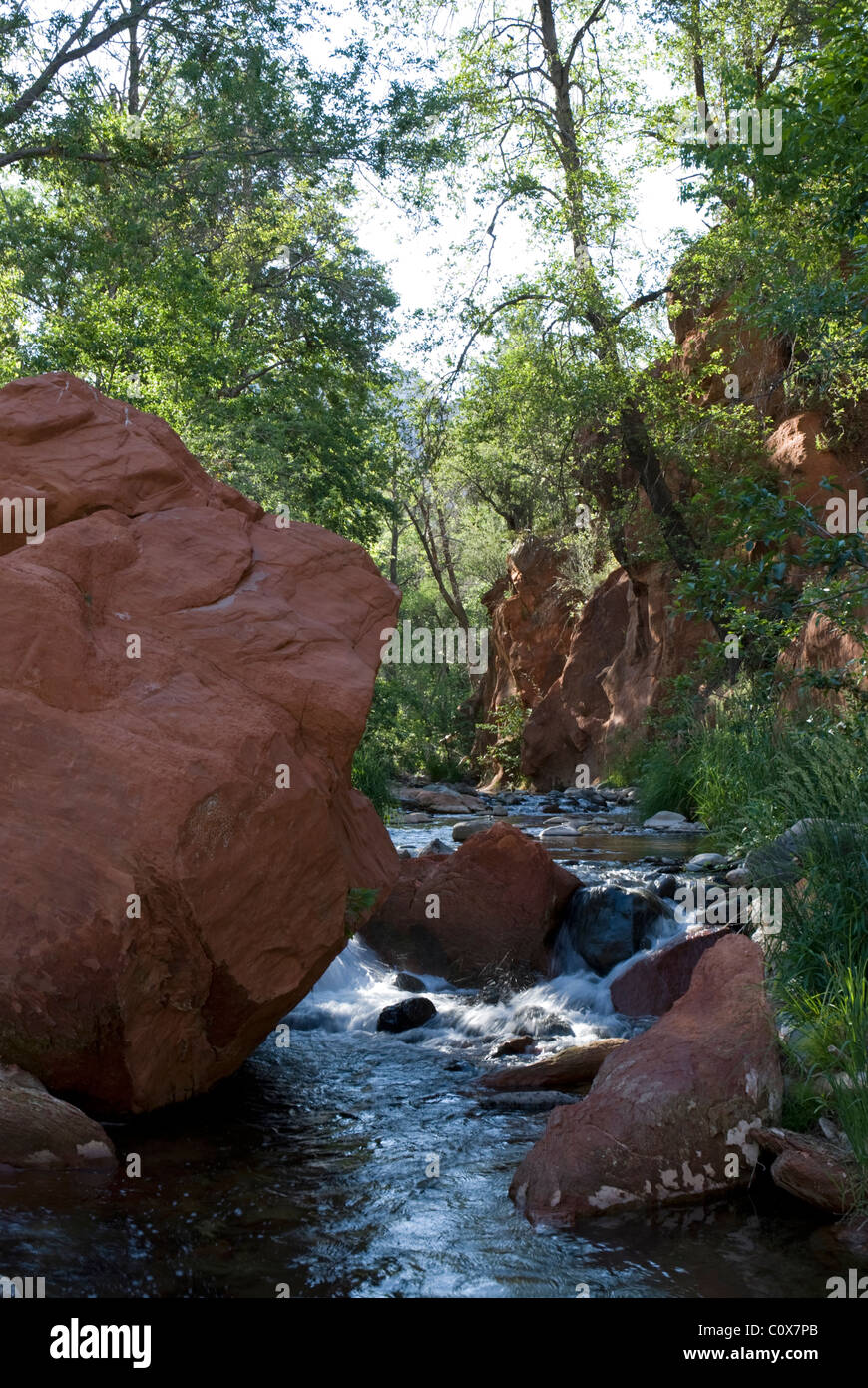 Manzanita campground 2024