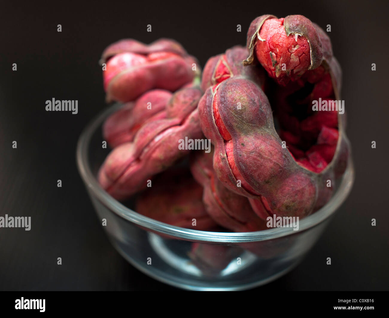 A dulce seed pods contain a sweet red pulp Stock Photo