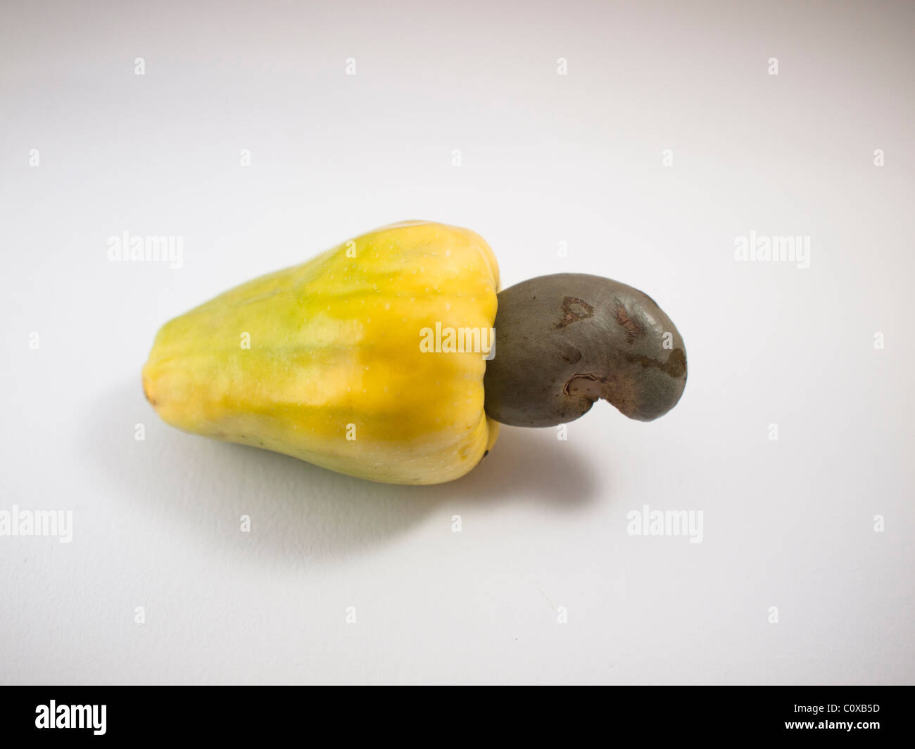 A fresh cashew nuts ripe fruit in white background Stock Photo