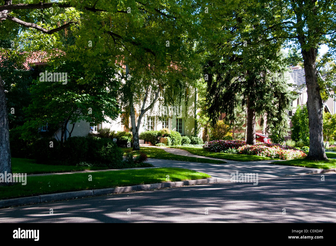 Denver,Cherry Creek Suburb,Affluent Area,Victorian Homes,Architecture,Upmarket Shopping Area