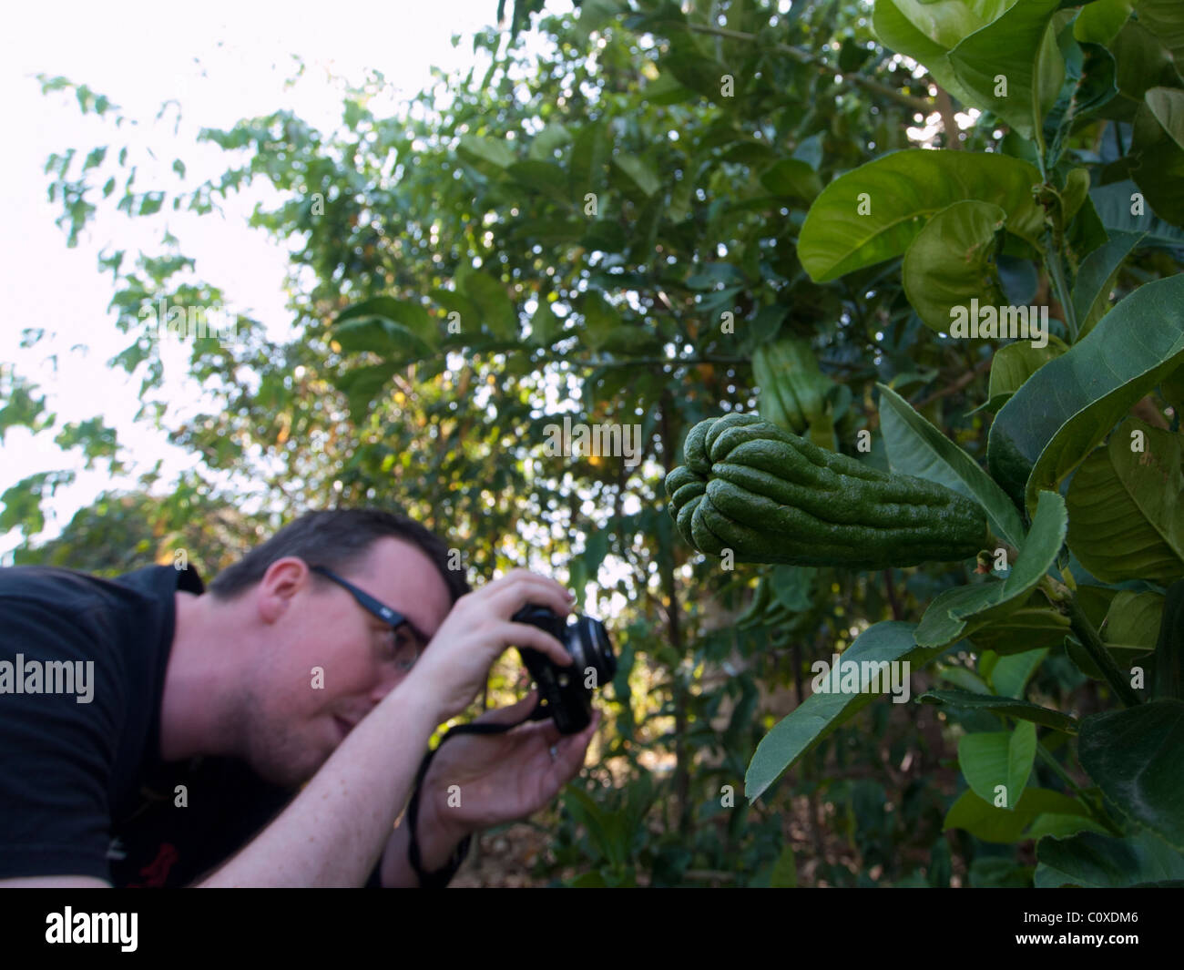 An Eco friendly photographer tour at fruit garden Stock Photo