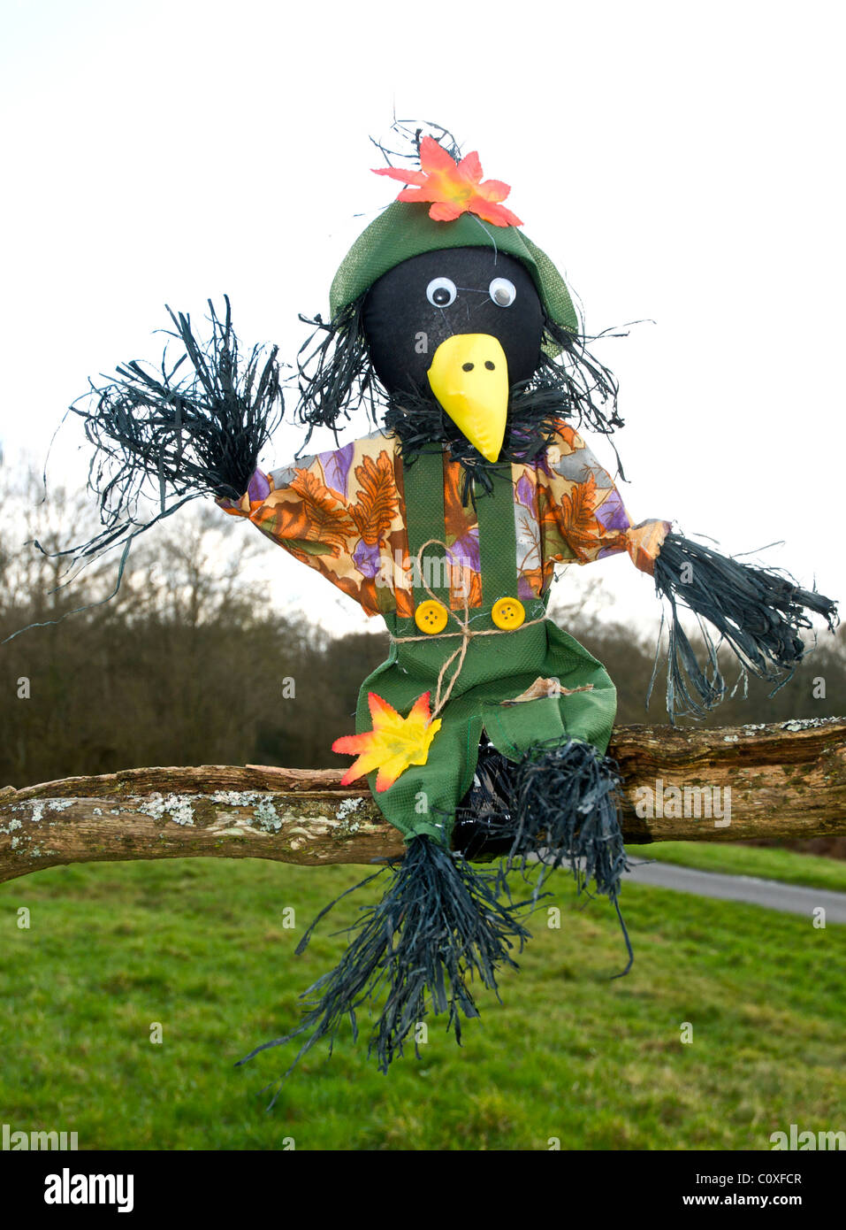 Scarecrow scare crow keeps birds off garden crops Stock Photo - Alamy