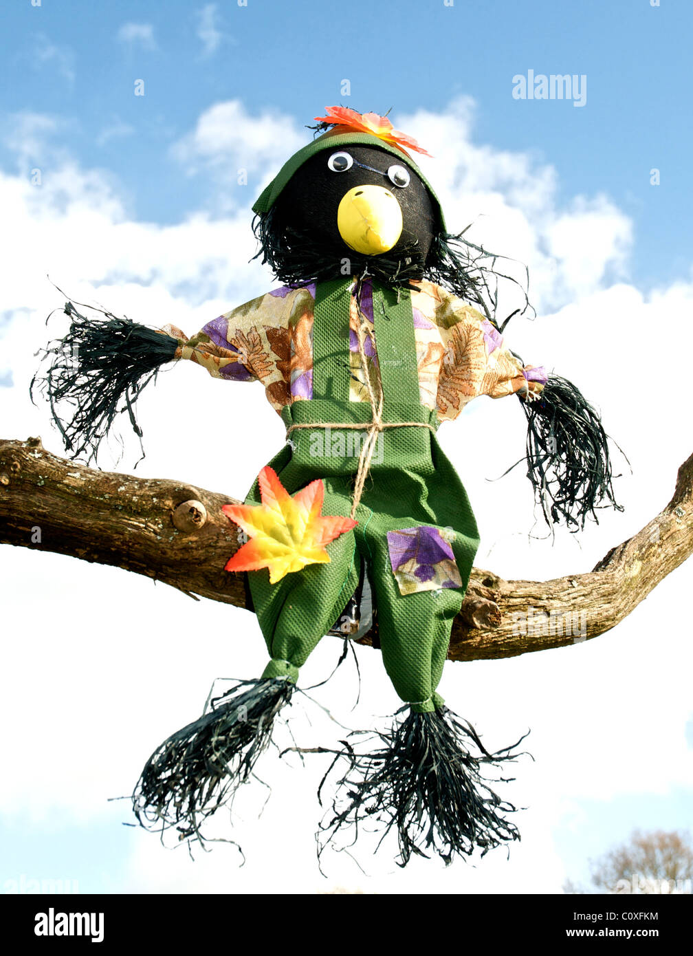 Scarecrow scare crow keeps birds off garden crops Stock Photo Alamy