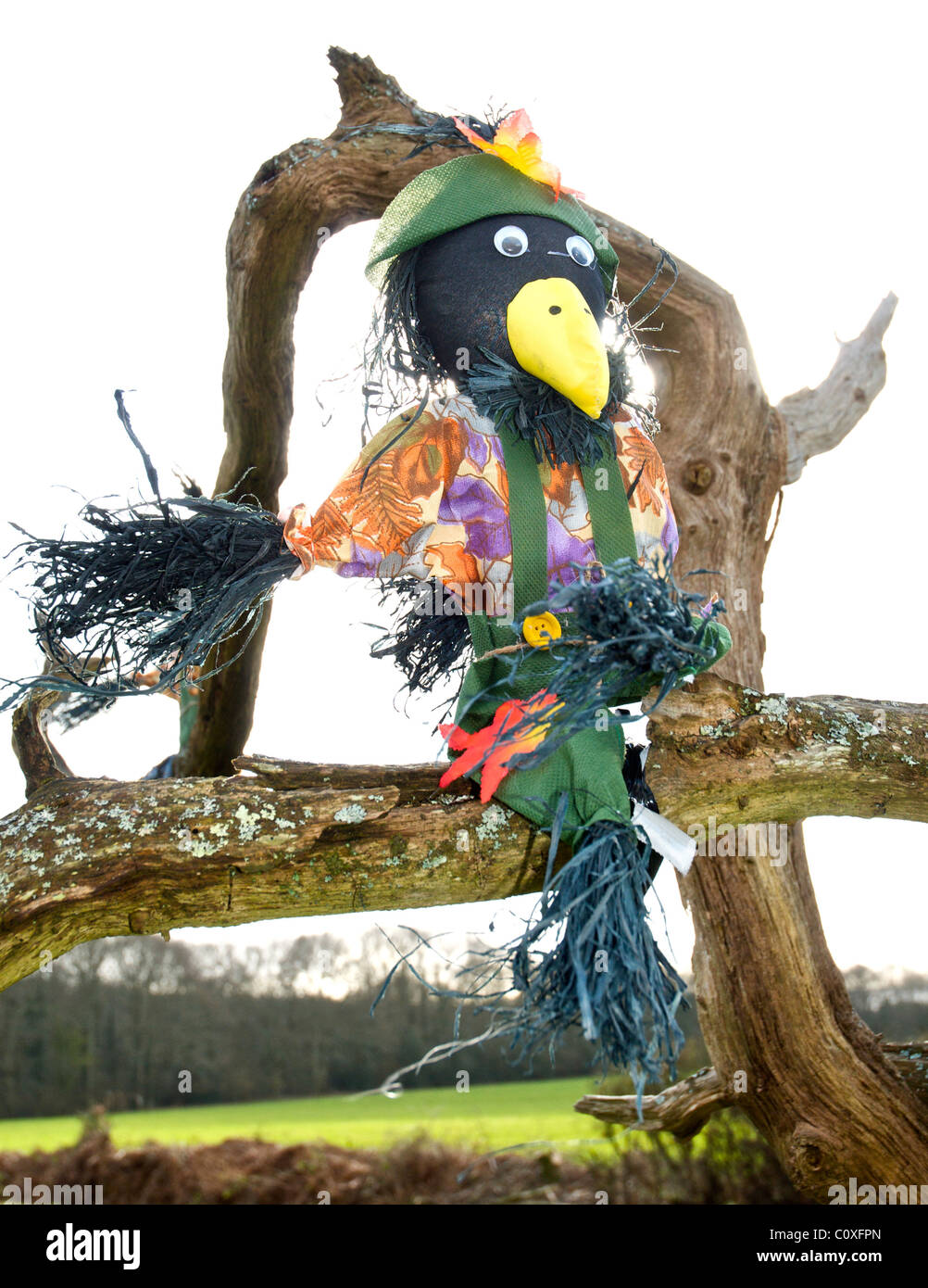 Scarecrow scare crow keeps birds off garden crops Stock Photo Alamy