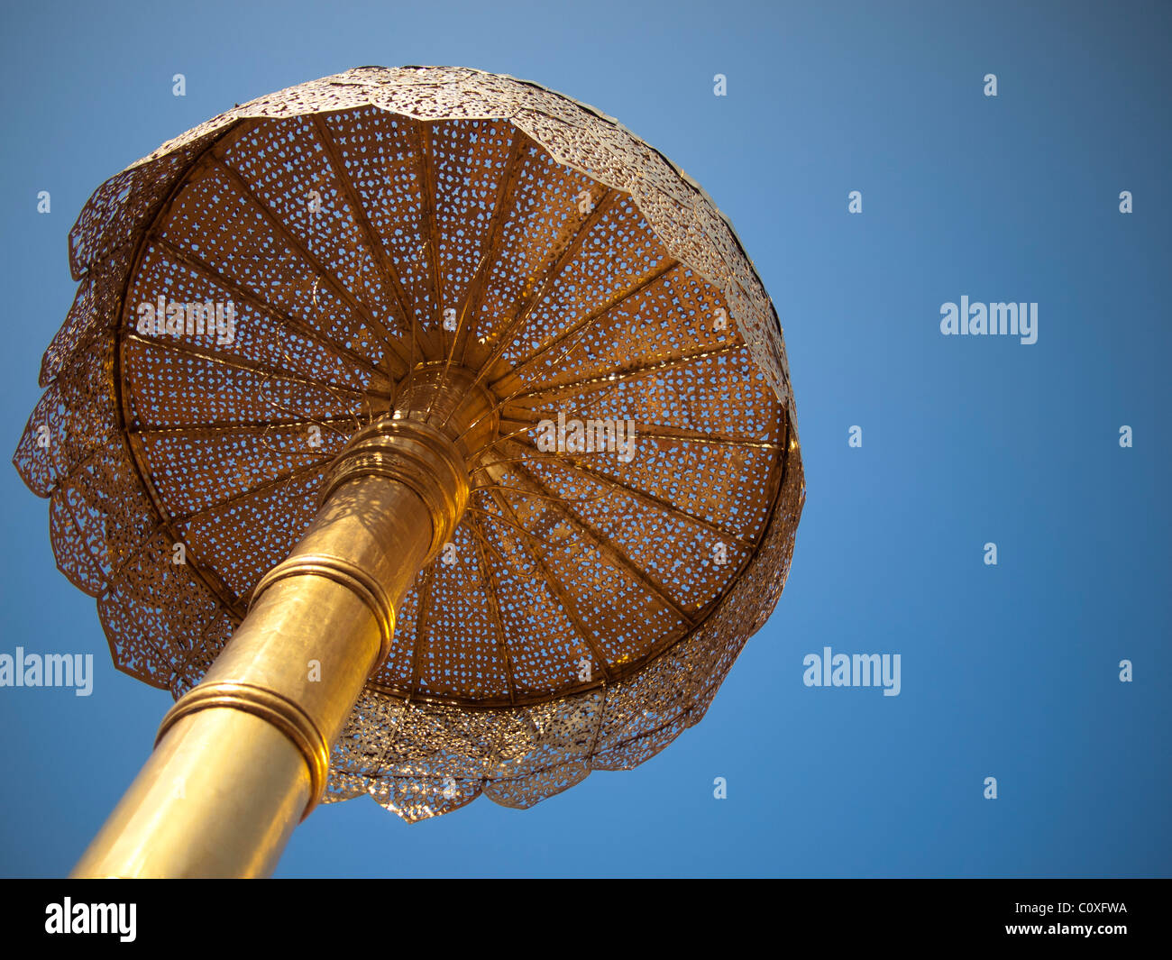gold umbrella photography