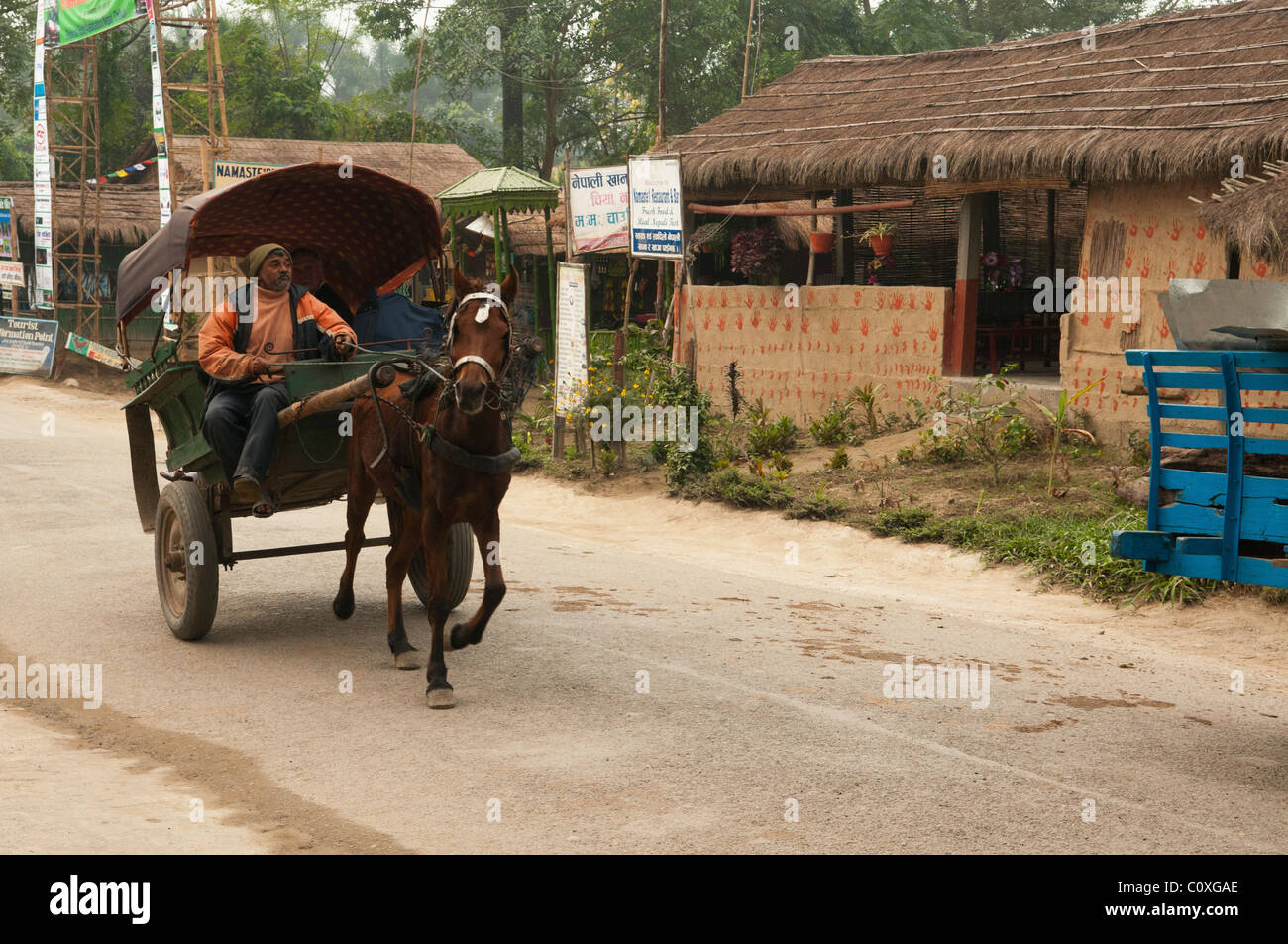 horse cart in a Tharu village in Chitwan National Park in Nepal Stock