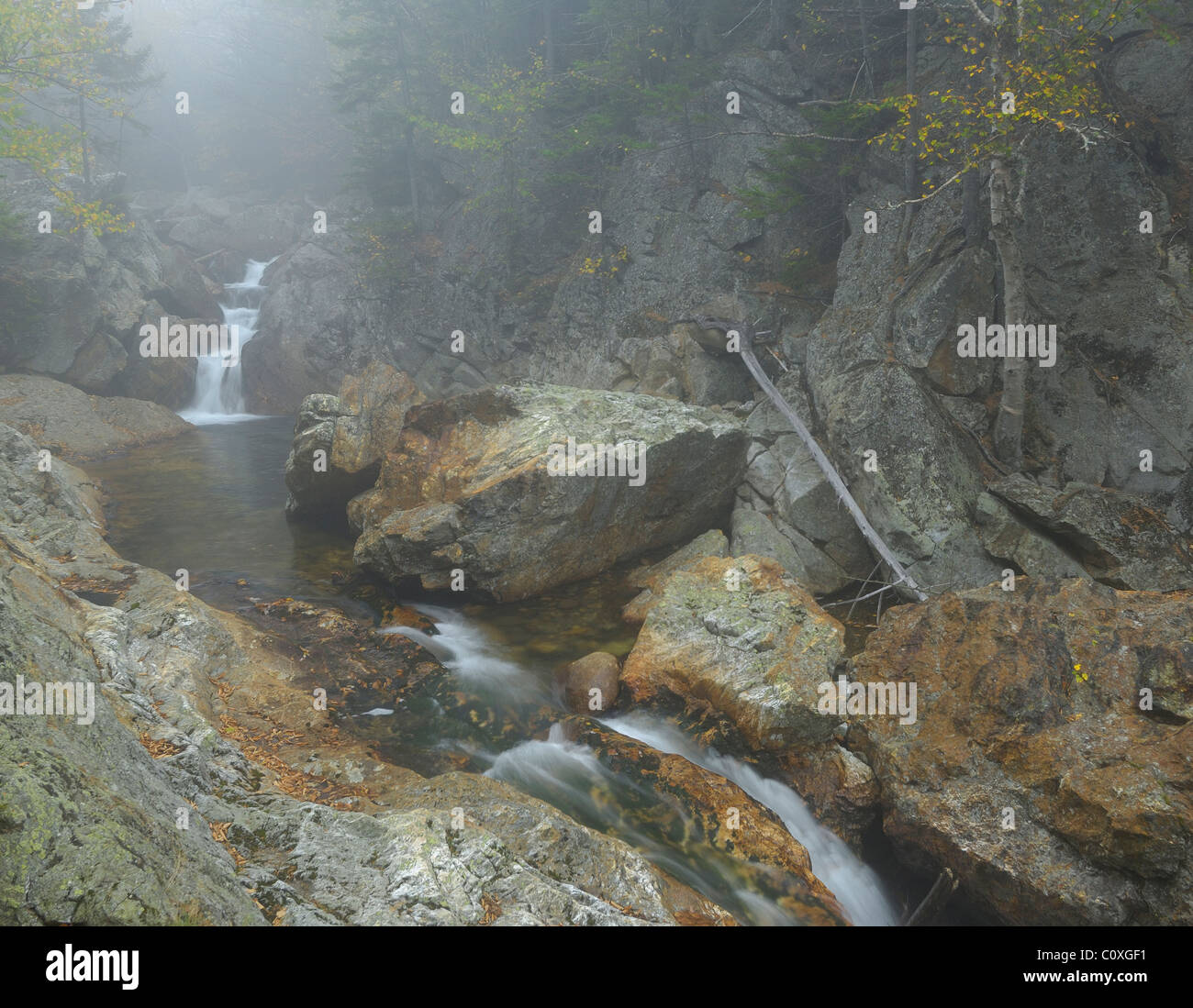 Pristine wild nature hi-res stock photography and images - Alamy