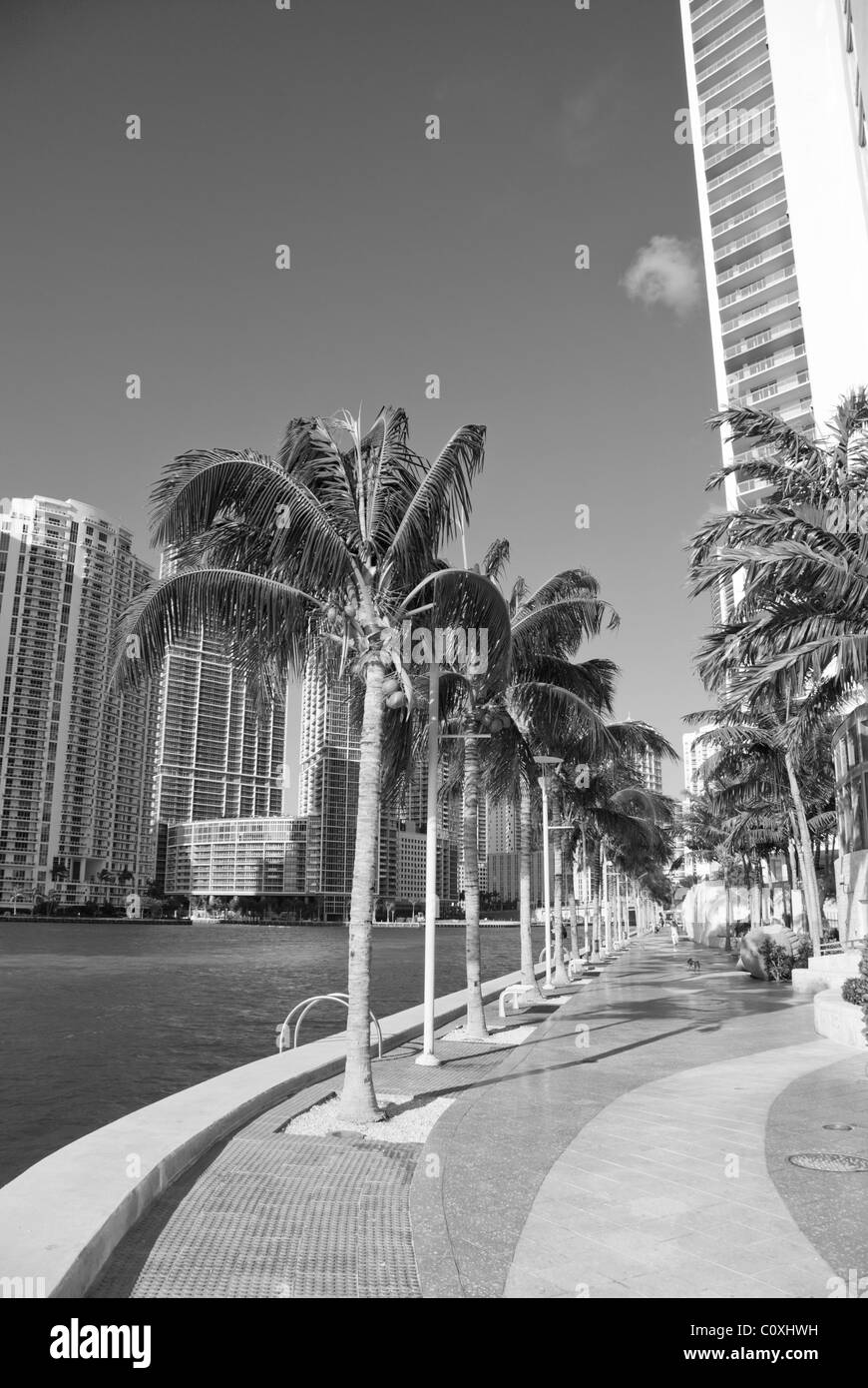 Miami Beach Coastline in Florida, U.S.A. Stock Photo